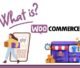 What is WooCommerce