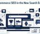 Ecommerce SEO